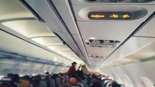 飞机最新爆料视频网 第2张 飞机最新爆料视频网 第2张